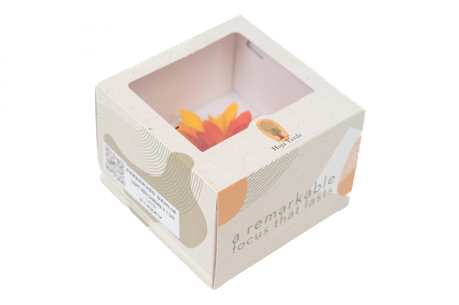 PHOCEALYS│Dahlia stabilisé│vente aux pros│Grossiste