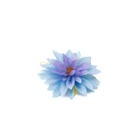 PHOCEALYS│Dahlia stabilisé│vente aux pros│Grossiste