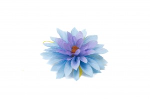 PHOCEALYS│Dahlia stabilisé│vente aux pros│Grossiste