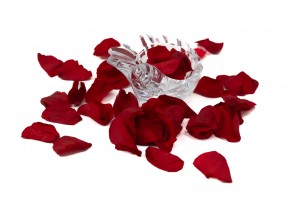 PHOCEALYS│Pétales de rose stabilisées│vente aux pros│Grossiste