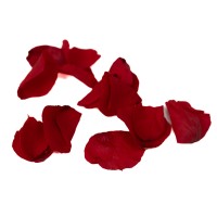 PHOCEALYS│Pétales de rose stabilisées│vente aux pros│Grossiste