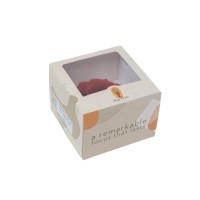 PHOCEALYS │Anémone stabilisée  │vente aux pros│Grossiste