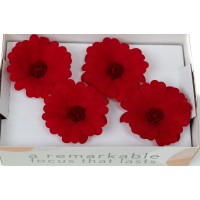 PHOCEALYS│Calendula stabilisé│vente aux pros│Grossiste