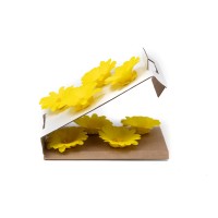 PHOCEALYS│Calendula stabilisé│vente aux pros│Grossiste