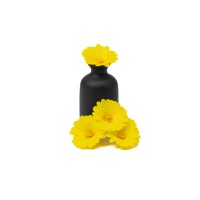 PHOCEALYS│Calendula stabilisé│vente aux pros│Grossiste