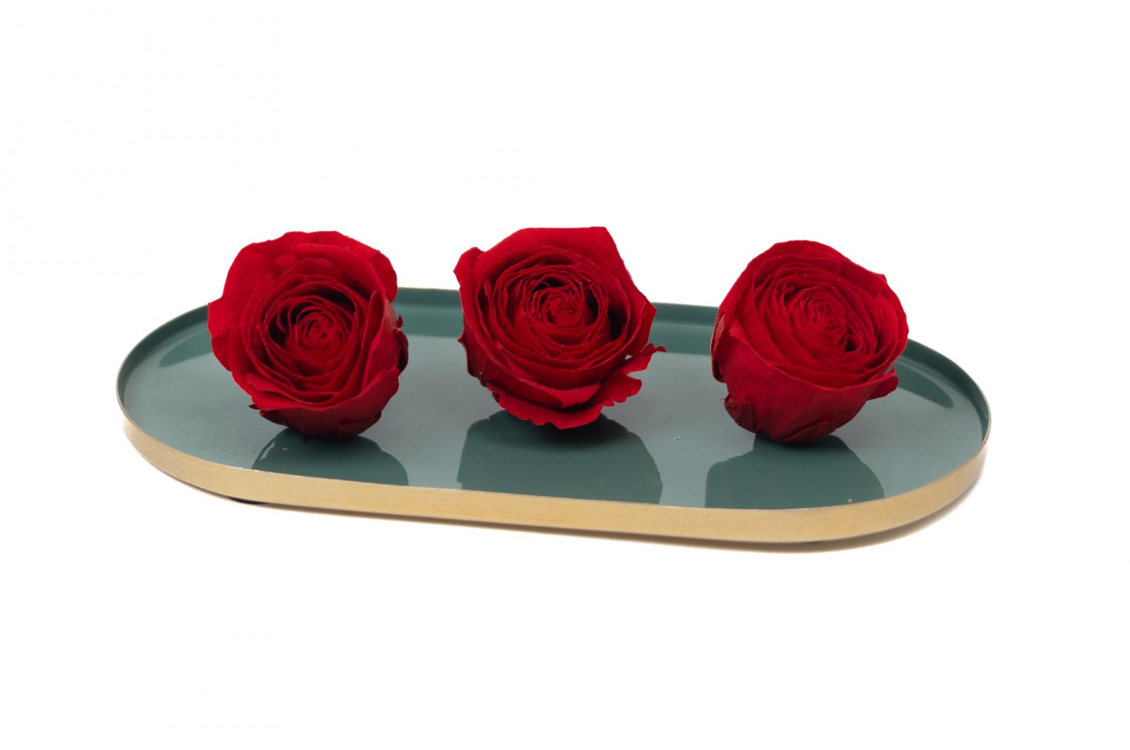 PHOCEALYS │Têtes de roses stabilisées  │vente aux pros│Grossiste