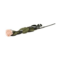 PHOCEALYS│Rose tigée coffret stabilisée│vente aux pros│Grossiste