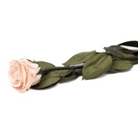 PHOCEALYS│Rose tigée coffret stabilisée│vente aux pros│Grossiste