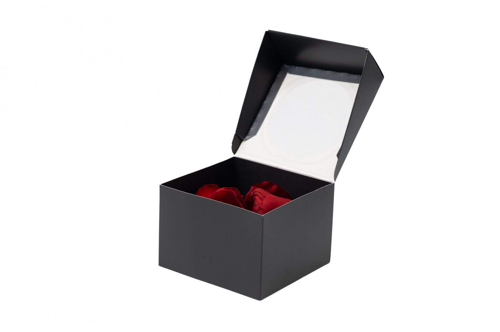 PHOCEALYS│Pétales de rose stabilisées│vente aux pros│Grossiste