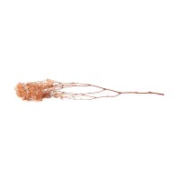 PHOCEALYS │Gypsophile stabilisé│vente aux pros│Grossiste