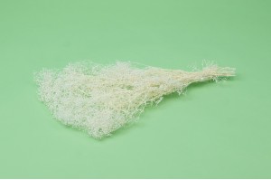 Mini Gypsophile sec │vente aux pros│Grossiste en fleurs séchées