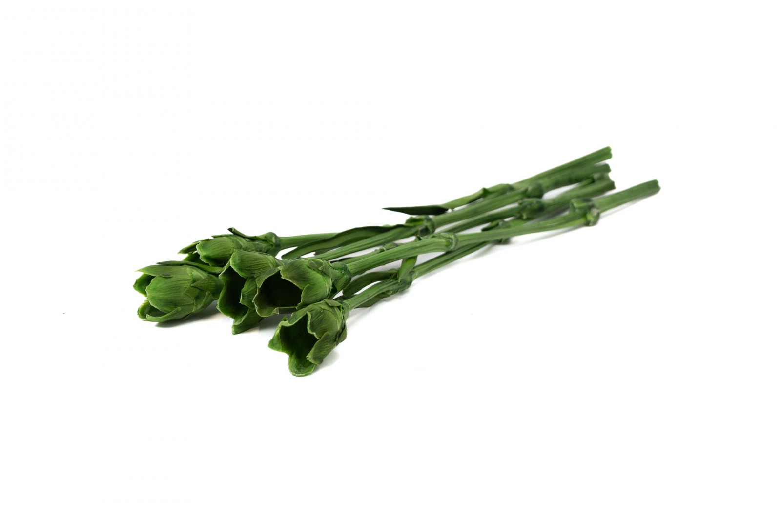 PHOCEALYS│Tiges d'œillets stabilisées  30cm│vente aux pros│Grossiste