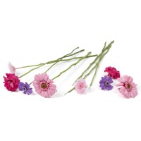 PHOCEALYS│Tiges de fleurs stabilisées 30cm│vente aux pros│Grossiste