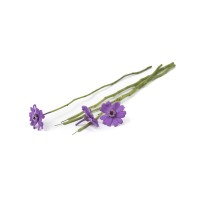 PHOCEALYS│Tiges de fleurs stabilisées 30cm│vente aux pros│Grossiste