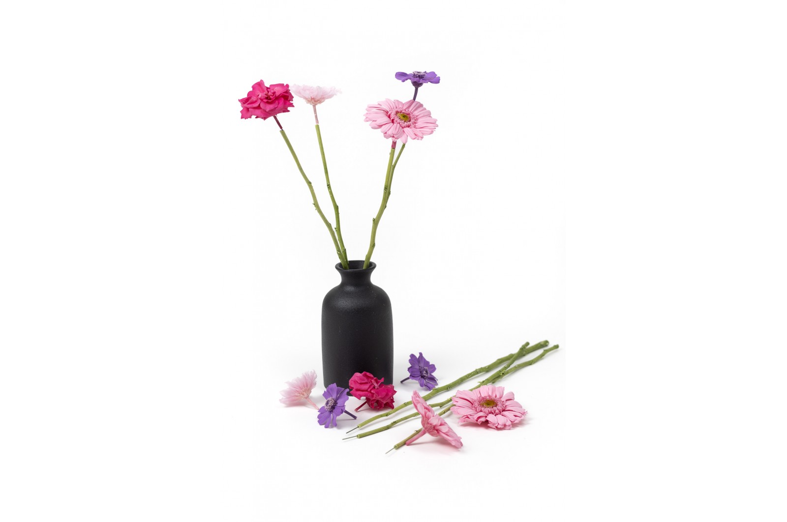 PHOCEALYS│Tiges de fleurs stabilisées 30cm│vente aux pros│Grossiste