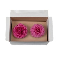 PHOCEALYS│Dahlia stabilisé│vente aux pros│Grossiste