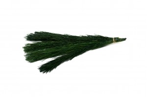 PHOCEALYS│Branches de pin stabilisées│vente aux pros│Grossiste