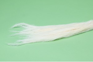Agrostis sec│vente aux pros│Grossiste en fleurs séchées