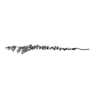 PHOCEALYS │Eucalyptus baby stabilisé │vente aux pros│Grossiste