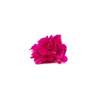 PHOCEALYS │Posy Hortensia stabilisé│vente aux pros│Grossiste