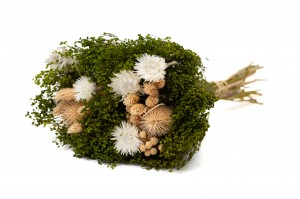 PHOCEALYS│Bouquet de fleurs séchées│vente aux pros│Grossiste