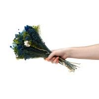 PHOCEALYS│Bouquet de fleurs séchées│vente aux pros│Grossiste