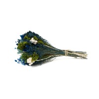 PHOCEALYS│Bouquet de fleurs séchées│vente aux pros│Grossiste