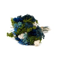 PHOCEALYS│Bouquet de fleurs séchées│vente aux pros│Grossiste