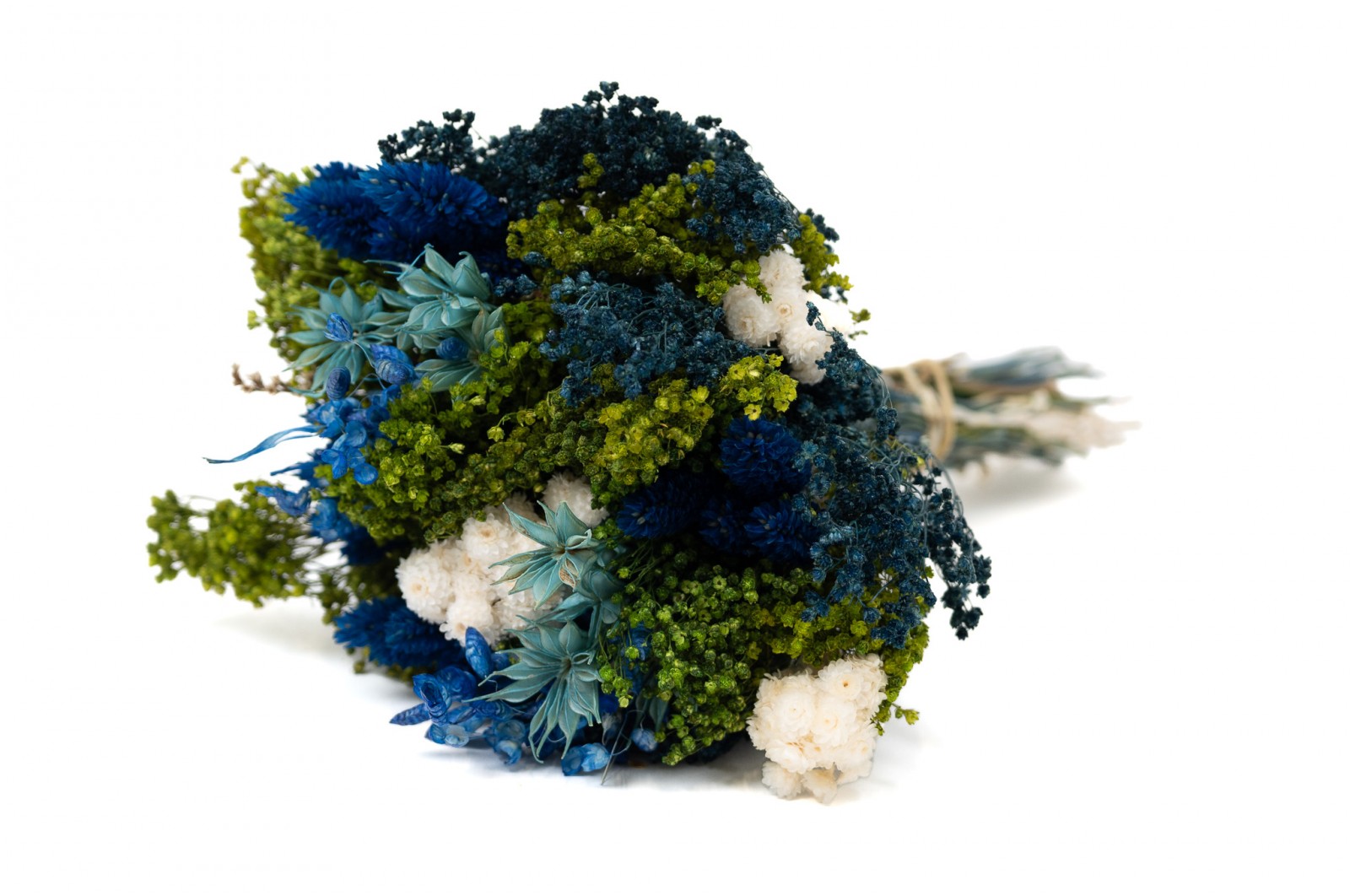 PHOCEALYS│Bouquet de fleurs séchées│vente aux pros│Grossiste