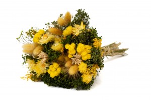 PHOCEALYS│Bouquet de fleurs séchées│vente aux pros│Grossiste