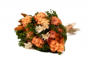 PHOCEALYS│Bouquet de fleurs séchées│vente aux pros│Grossiste
