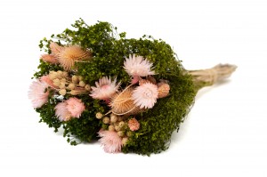 PHOCEALYS│Bouquet de fleurs séchées│vente aux pros│Grossiste
