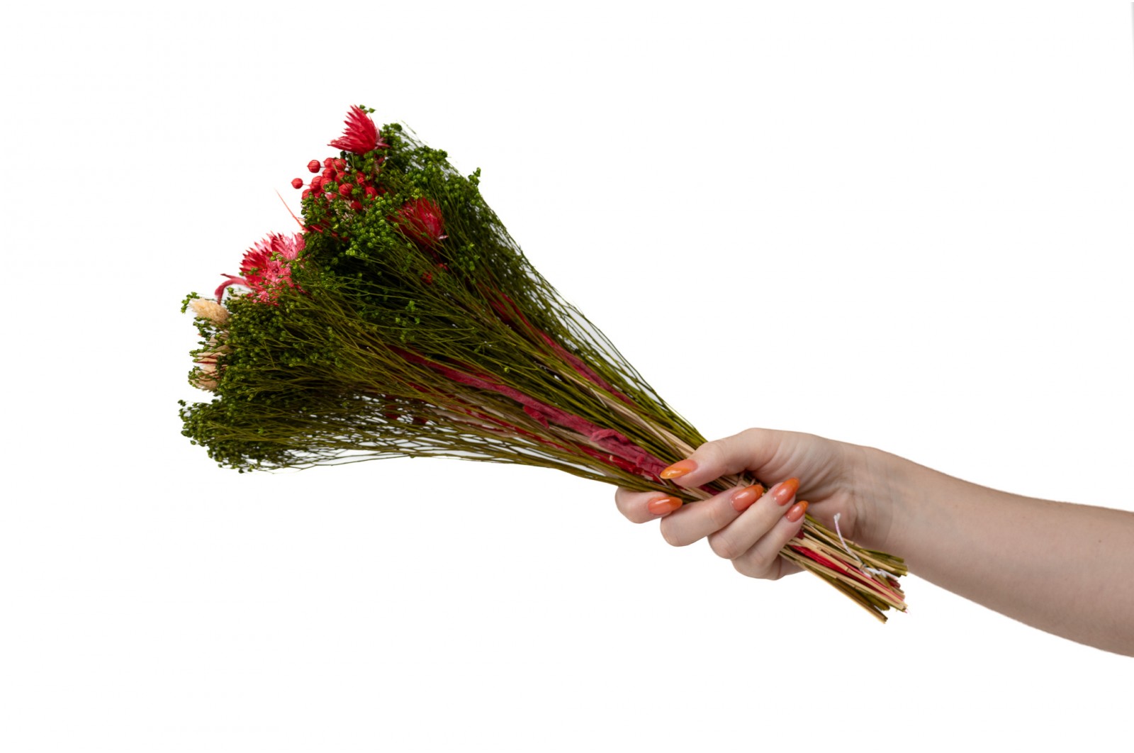 PHOCEALYS│Bouquet de fleurs séchées│vente aux pros│Grossiste