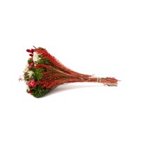 PHOCEALYS│Bouquet de fleurs séchées│vente aux pros│Grossiste