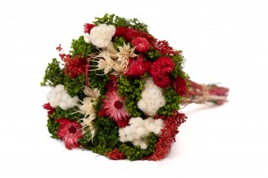 PHOCEALYS│Bouquet de fleurs séchées│vente aux pros│Grossiste
