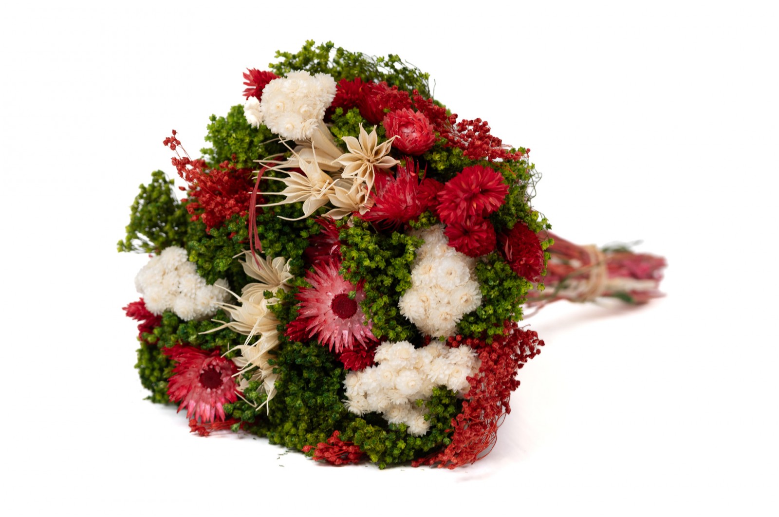 PHOCEALYS│Bouquet de fleurs séchées│vente aux pros│Grossiste