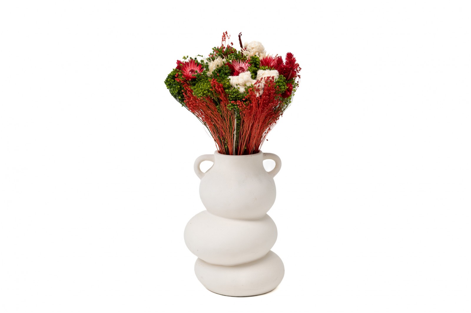 PHOCEALYS│Bouquet de fleurs séchées│vente aux pros│Grossiste