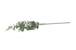 PHOCEALYS│Eucalyptus Artificiel│vente aux pros│Grossiste