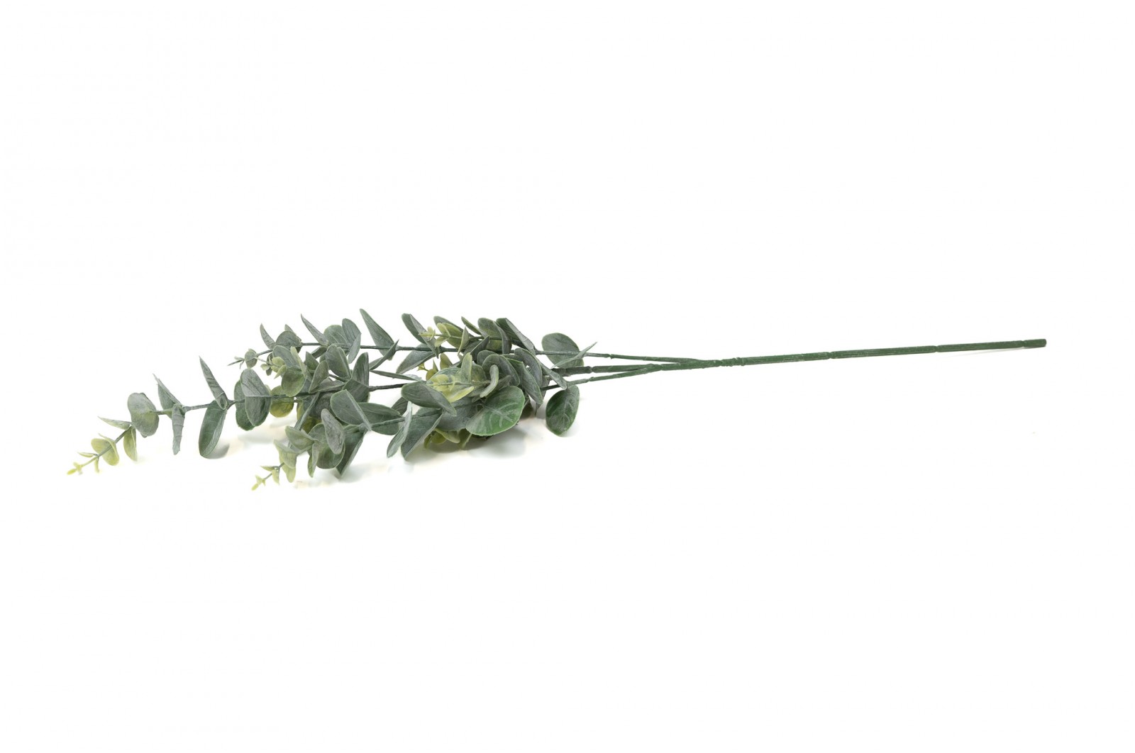 PHOCEALYS│Eucalyptus Artificiel│vente aux pros│Grossiste