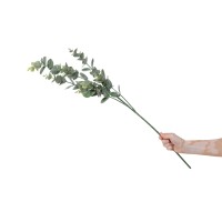 PHOCEALYS│Eucalyptus Artificiel│vente aux pros│Grossiste
