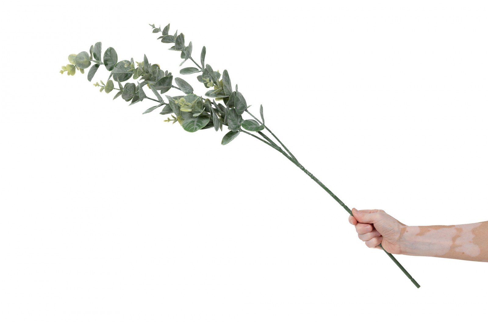 PHOCEALYS│Eucalyptus Artificiel│vente aux pros│Grossiste