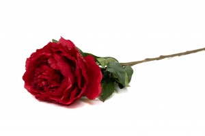 PHOCEALYS│Pivoine artificielle haut de gamme pour décoration végétale
