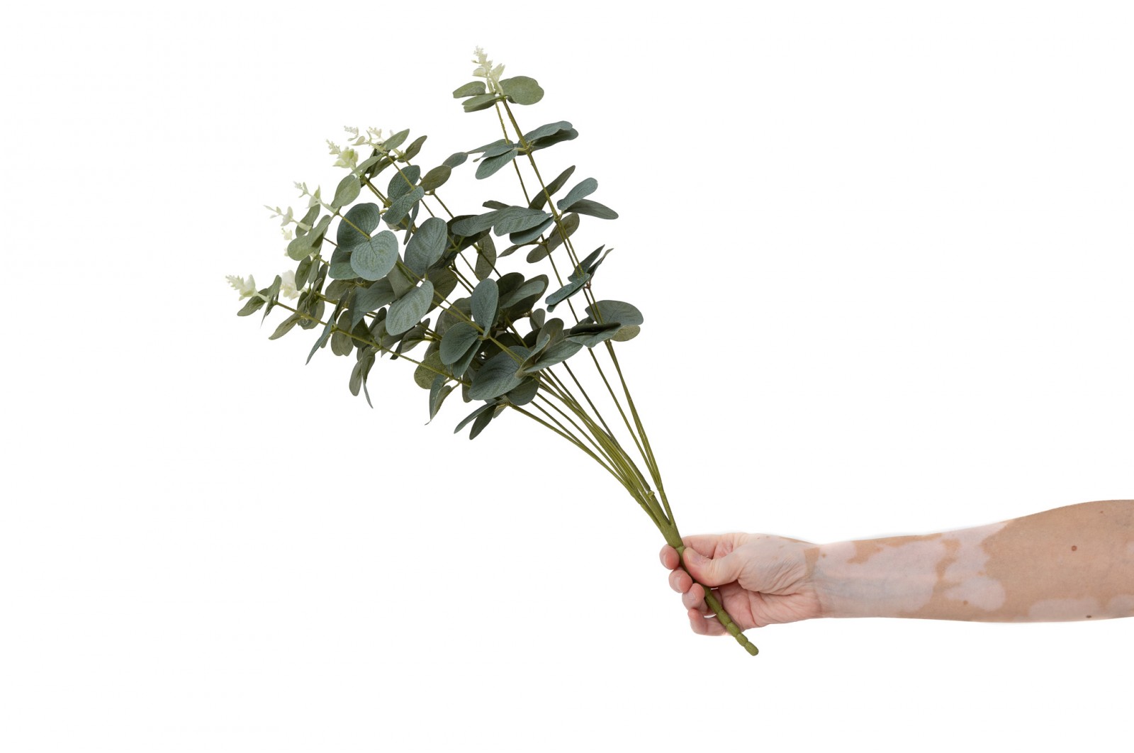 PHOCEALYS│Eucalyptus Artificiel│Grossiste en végétaux artificiels