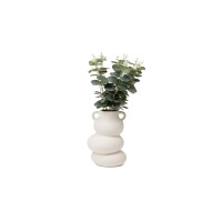 PHOCEALYS│Eucalyptus Artificiel│Grossiste en végétaux artificiels