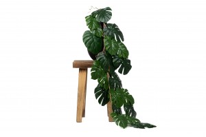 Guirlande Monstera artificielle - Phocealys Grossiste déco végétale