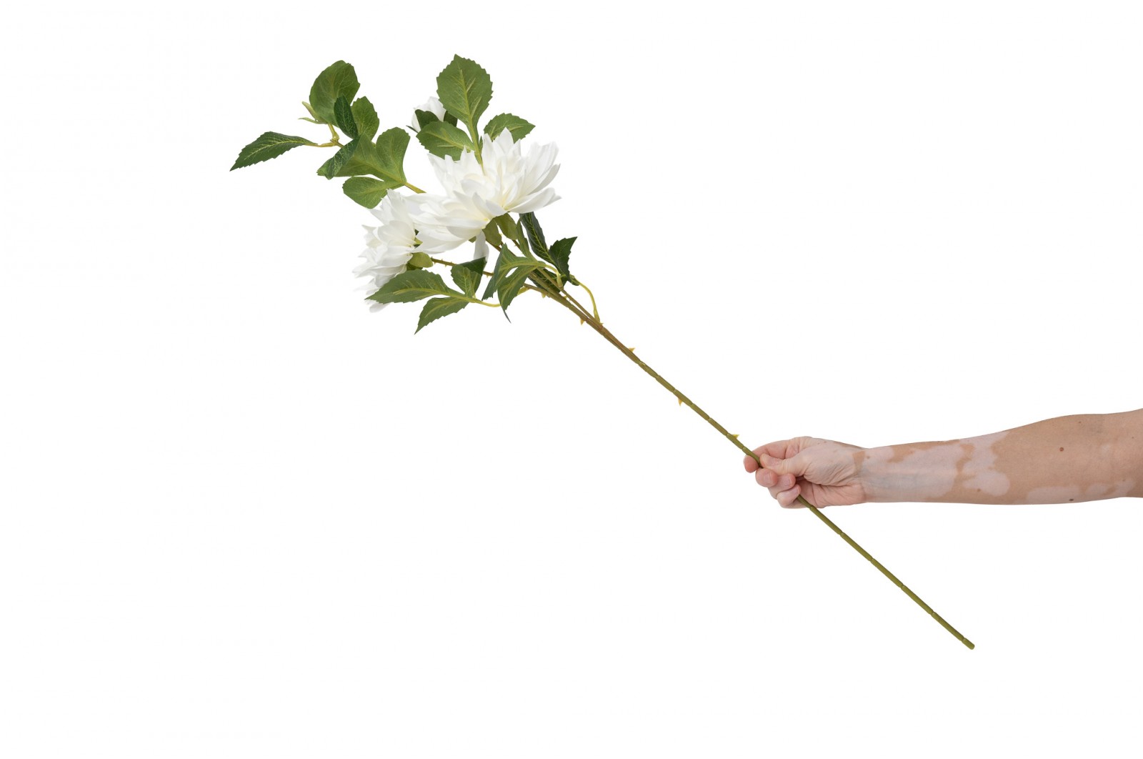 PHOCEALYS│Dahlia Artificiel│Grossiste en végétaux artificiels