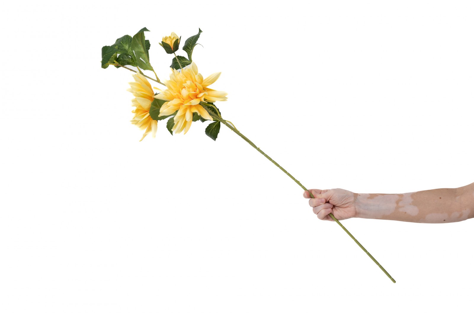PHOCEALYS│Dahlia Artificiel│Grossiste en végétaux artificiels