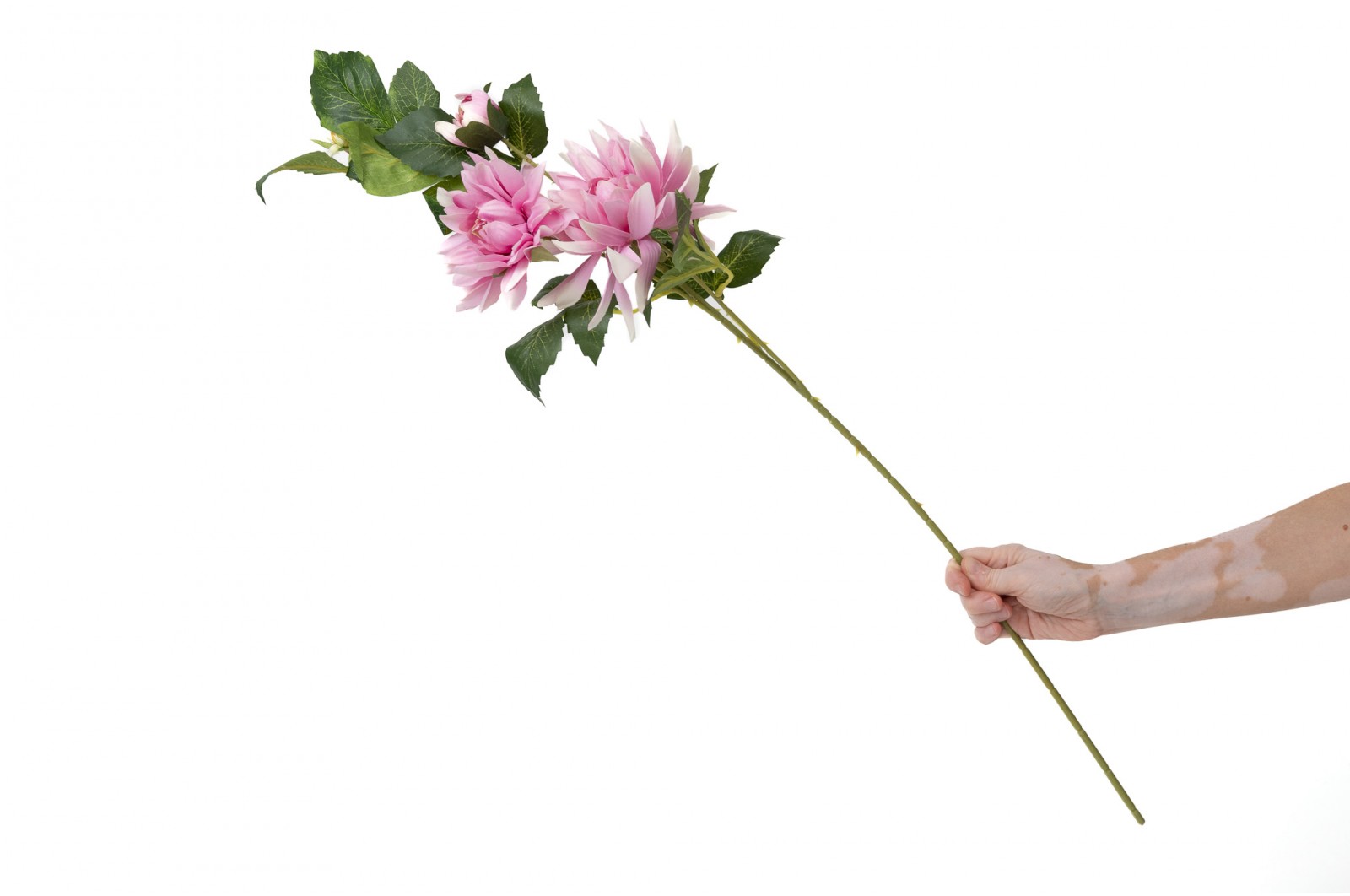 PHOCEALYS│Dahlia Artificiel│Grossiste en végétaux artificiels