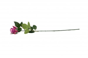PHOCEALYS│Rose Artificielle│vente aux pros│Grossiste en végétaux artificiels