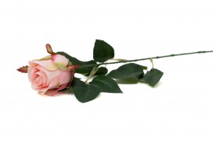 PHOCEALYS│Rose Artificielle│vente aux pros│Grossiste en végétaux artificiels